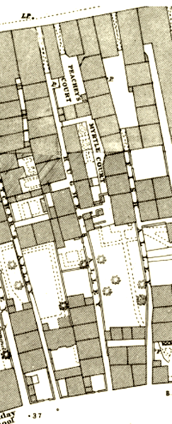 Hughes plan in the 1880s